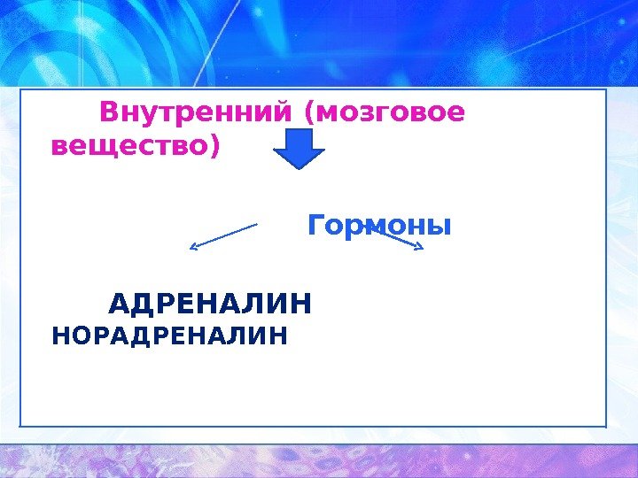    Внутренний (мозговое вещество)       Гормоны 